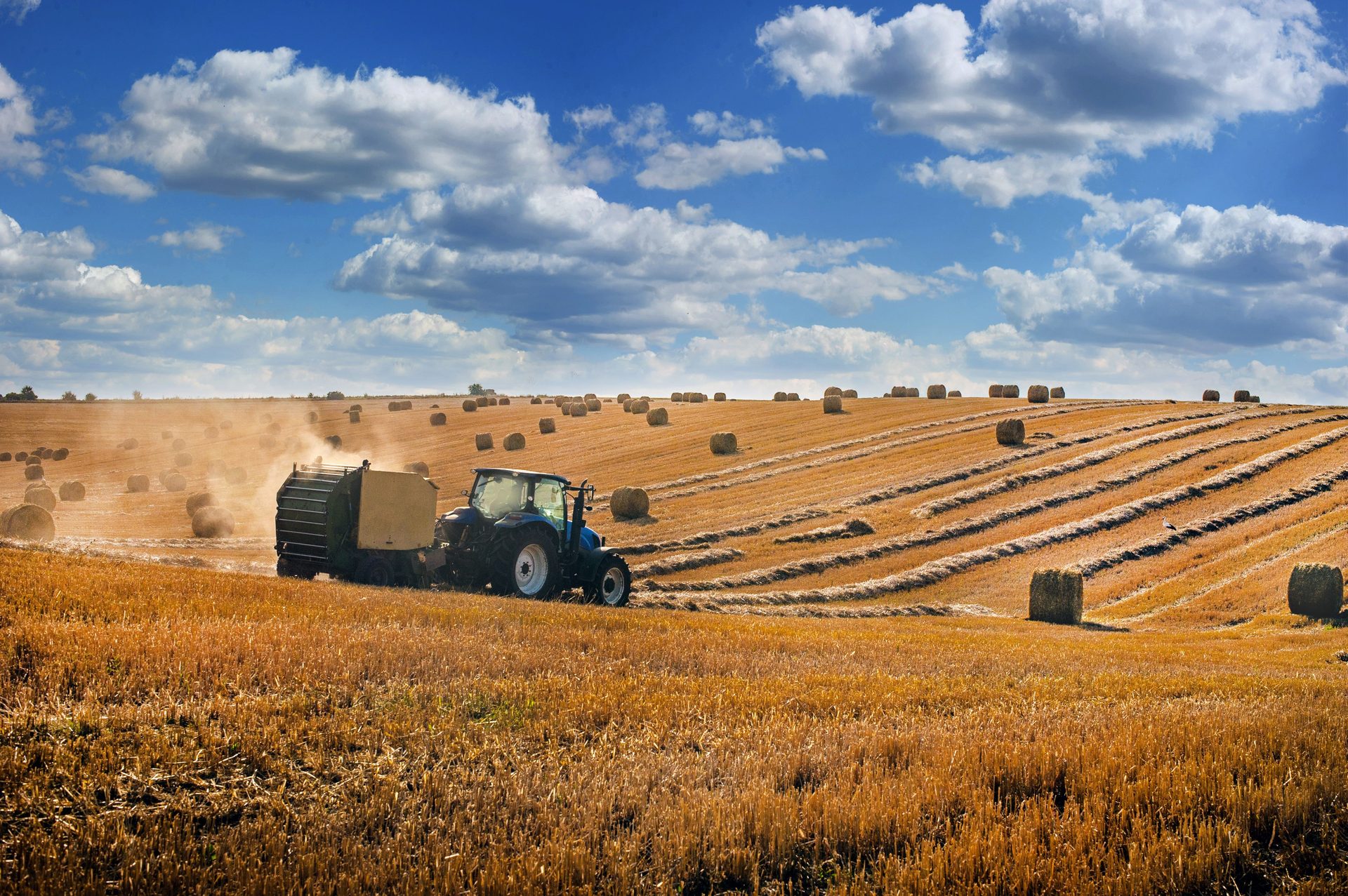 Asset Finance vs Business Loan: Which Is Right for You? — featured image